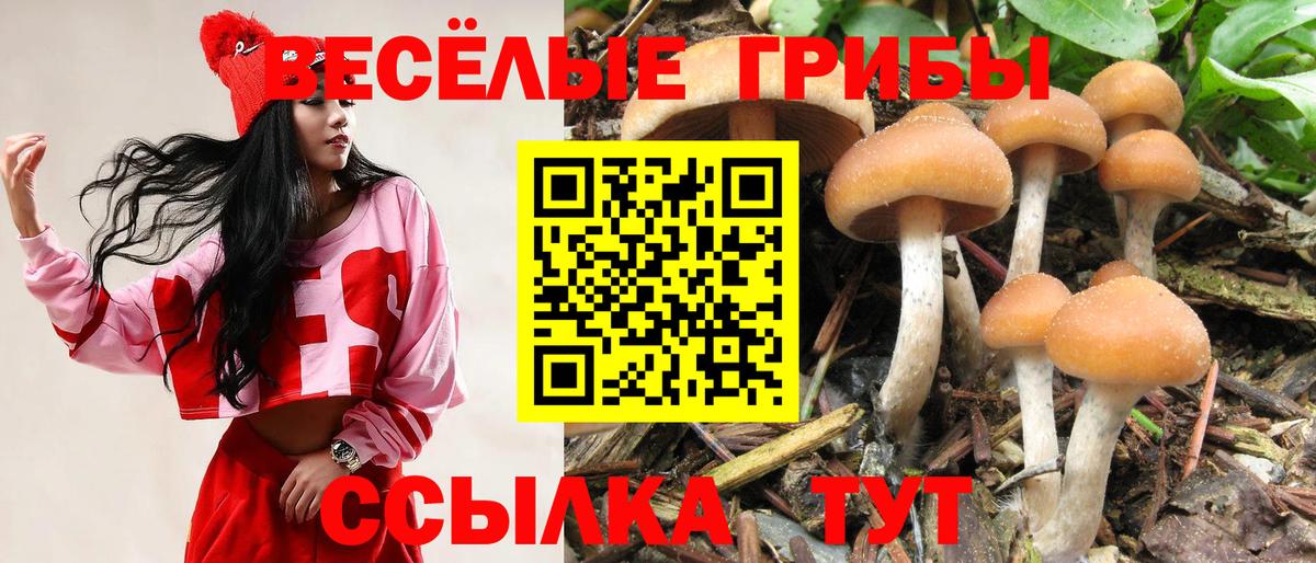 Галлюциногенные грибы GOLDEN TEACHER  Вход с VPN  Новый Уренгой 